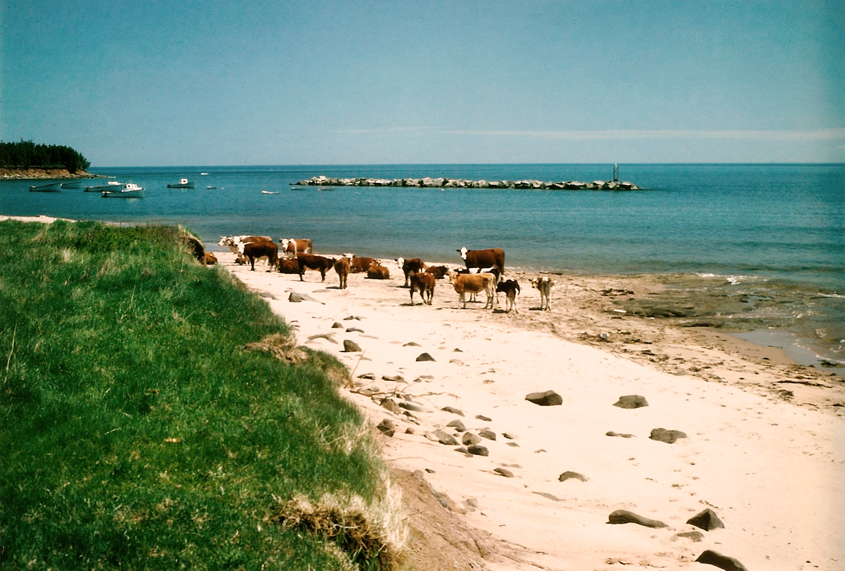 East End shoreline