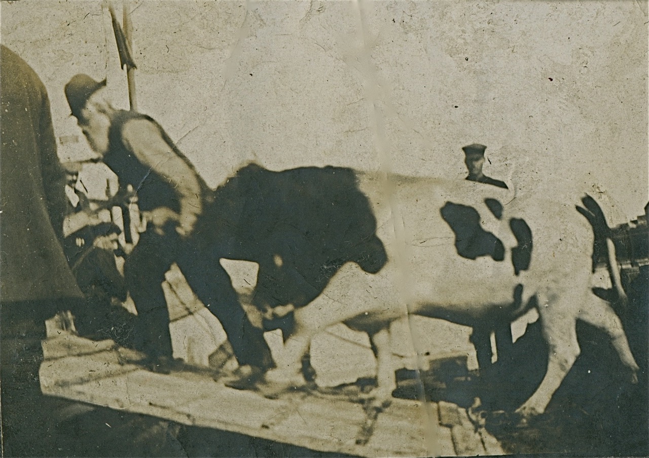 Lorne Matheson collection — photograph 7